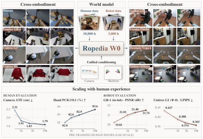Ropedia W0 概念与架构概览